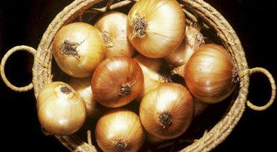 Новозеландські вчені вивели «безслізний лук»