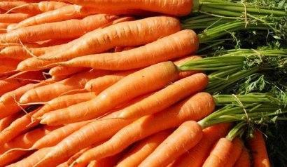 Вчені вивели новий сорт моркви з підвищеним вмістом кальцію