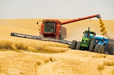Урожайність ранніх зернових в Україні рекордна